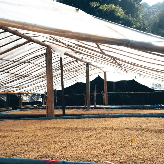 custom size stretch tents for hire in Cape town